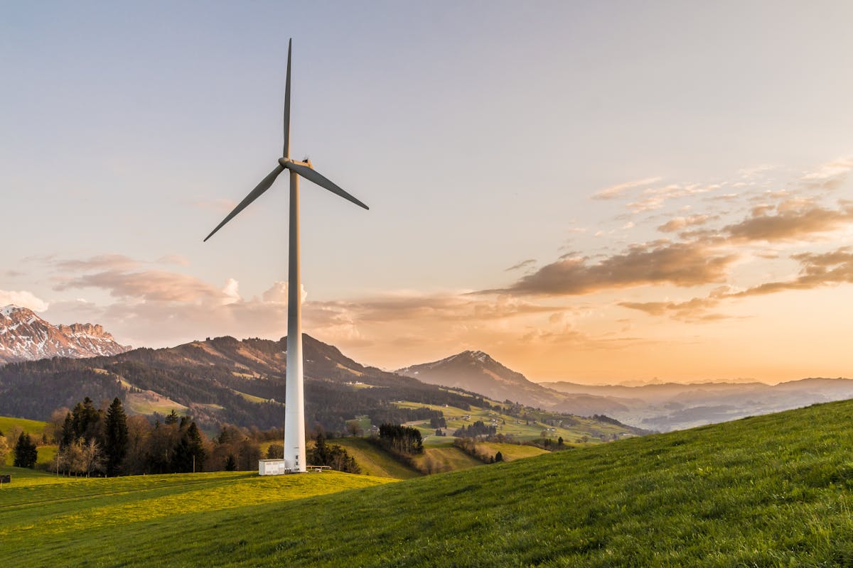 Immergrün Strom Erfahrungen - Tipps und Hinweise