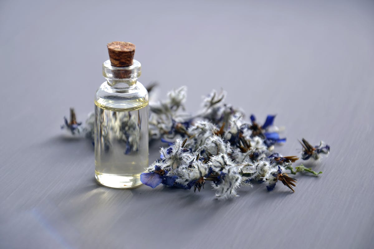 Niche Perfumes Erfahrungen