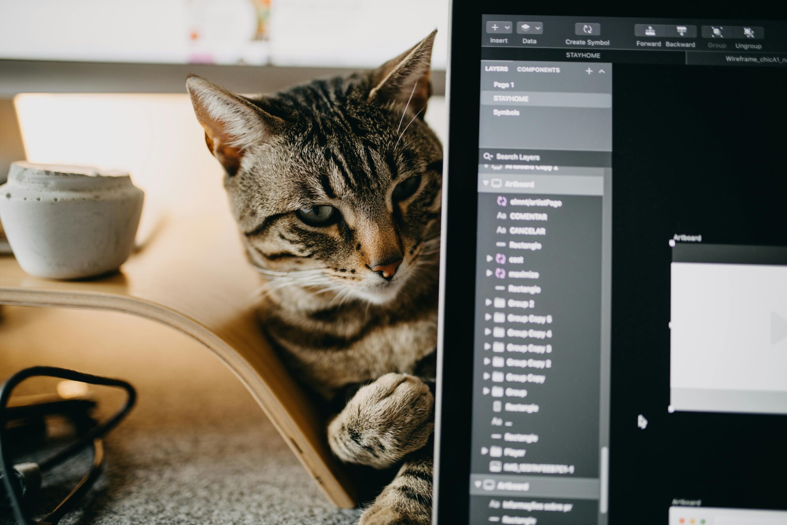 Animoto Erfahrungen – Einfacher Video Maker im Test