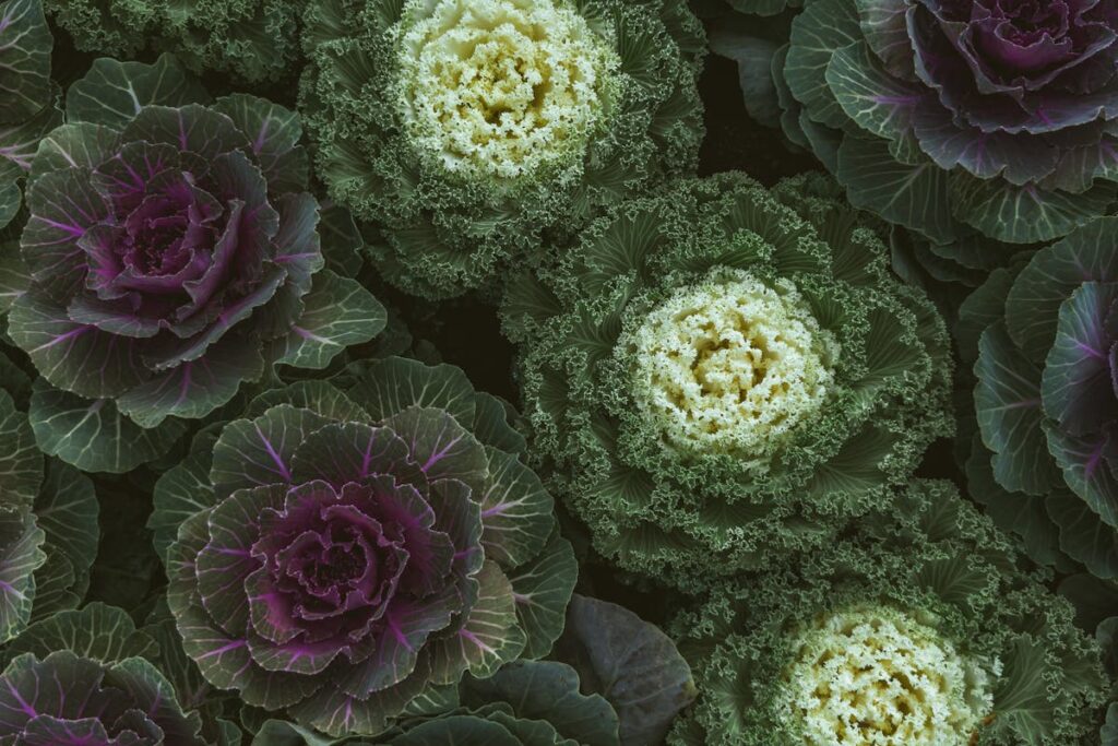 Was bringt der Gartenplaner von OBI online?