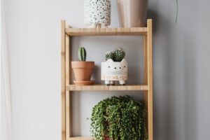 Stecksystem-Regale von Songmics – Erfahrungen