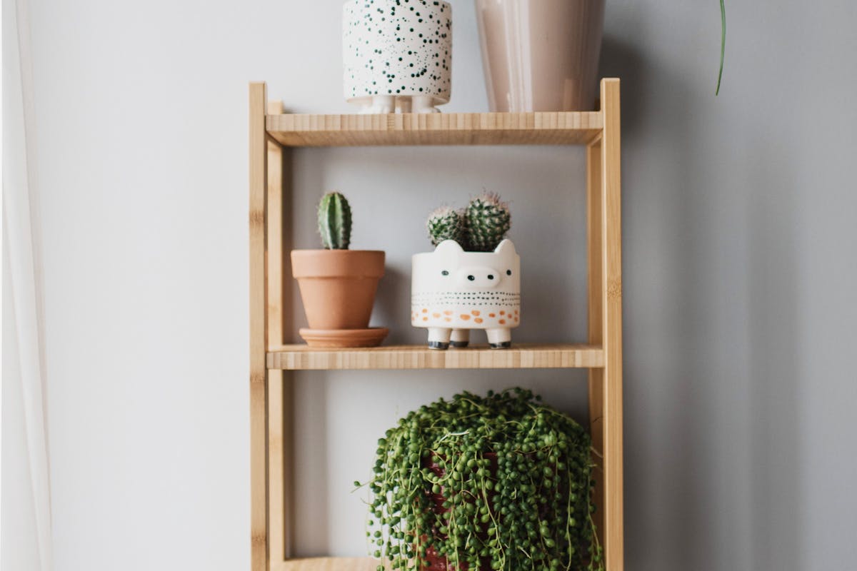 Stecksystem-Regale von Songmics – Erfahrungen