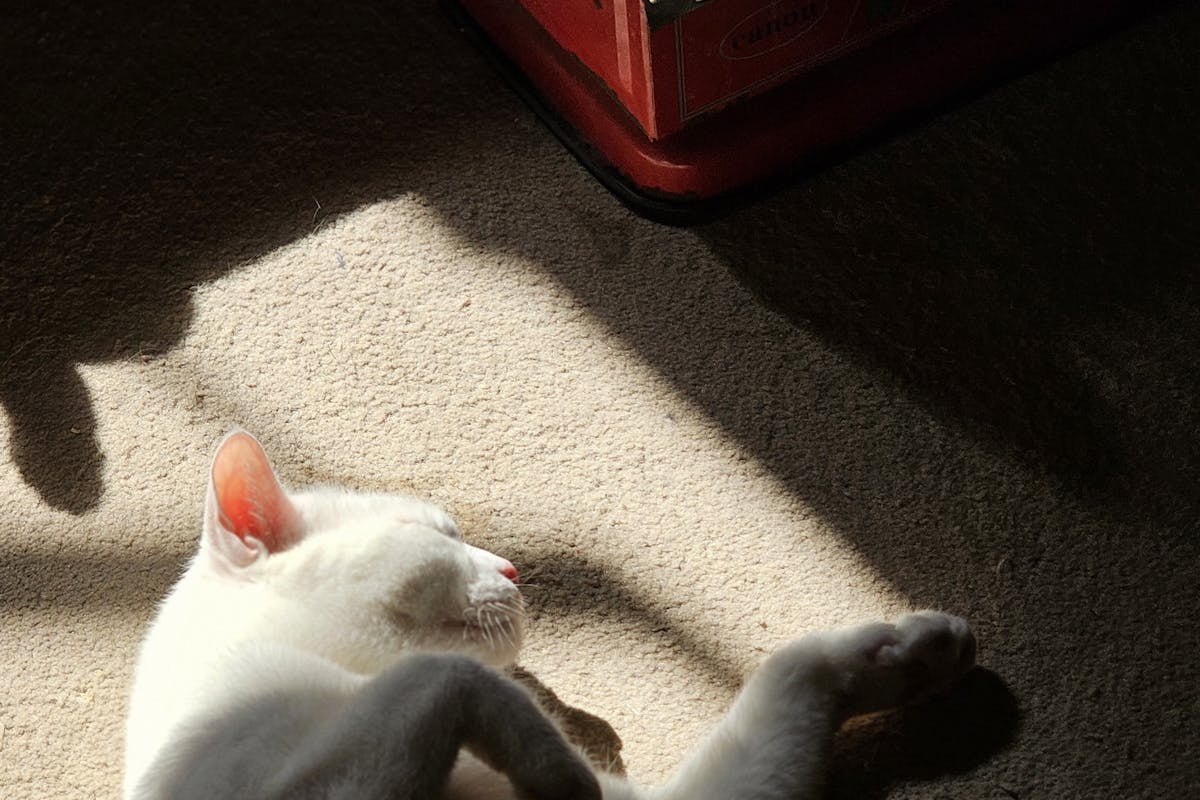 Heizlüfter von Rowenta im Winter – Erfahrungen